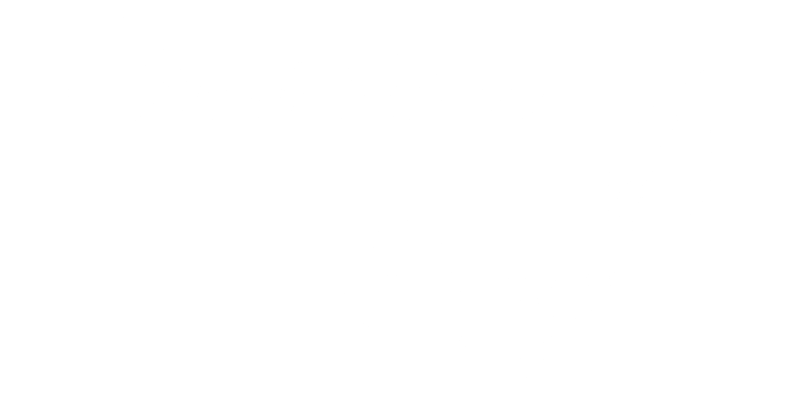 Conscious Copy