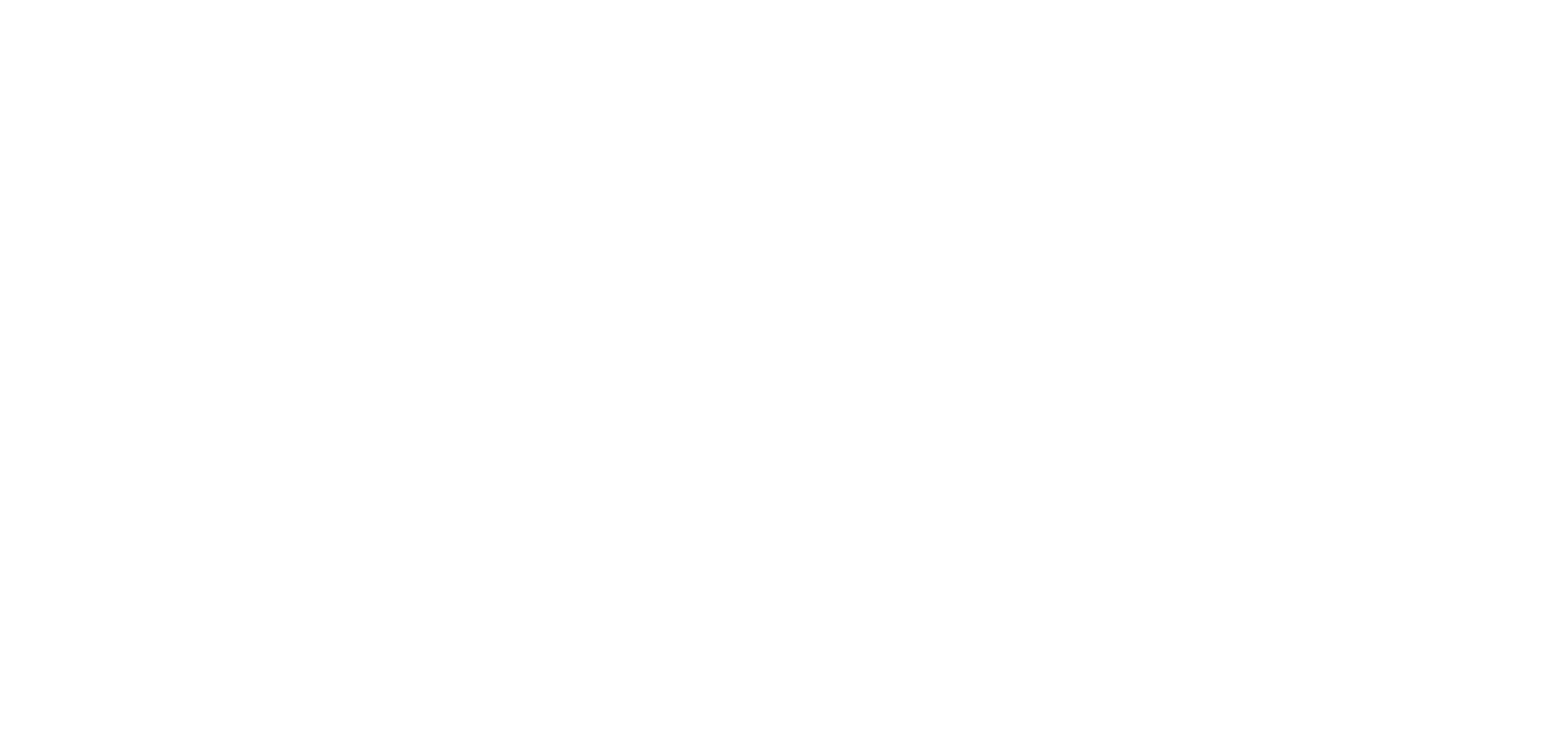 Conscious Copy